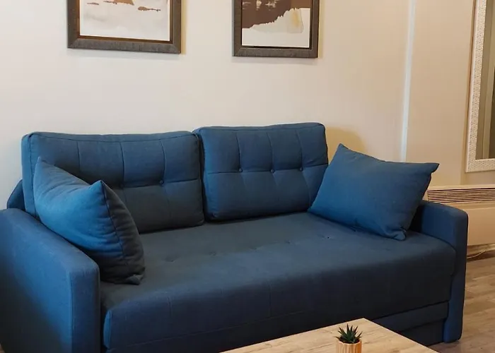 Viva Milmari 公寓 科帕奥尼克