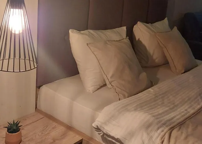 Viva Milmari * 科帕奥尼克